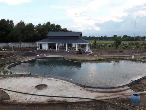TƯ VẤN THIẾT KẾ XÂY DỰNG HỒ BƠI